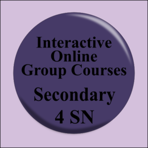Interactive Online Group Courses – Sec 4 SN