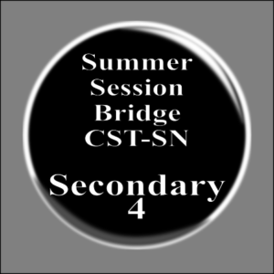 Summer Session Sec 4 Bridge CST-SN
